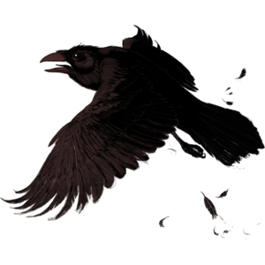 Raven PNG-71469